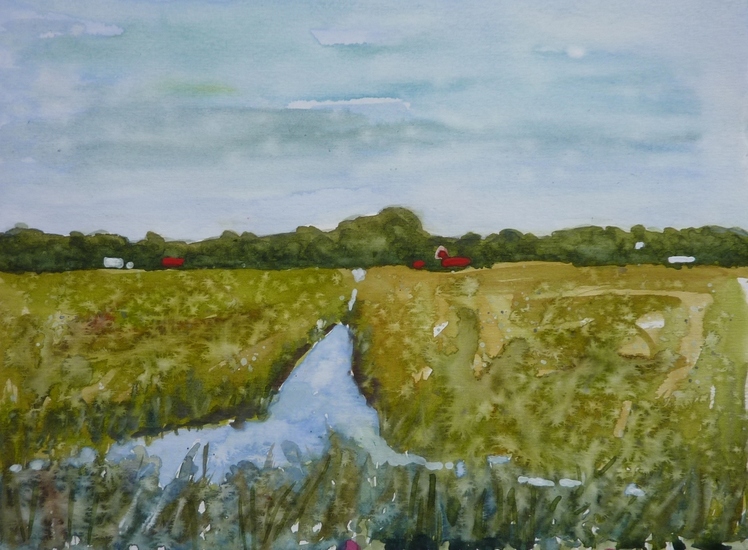 Noord Hollands Landschap