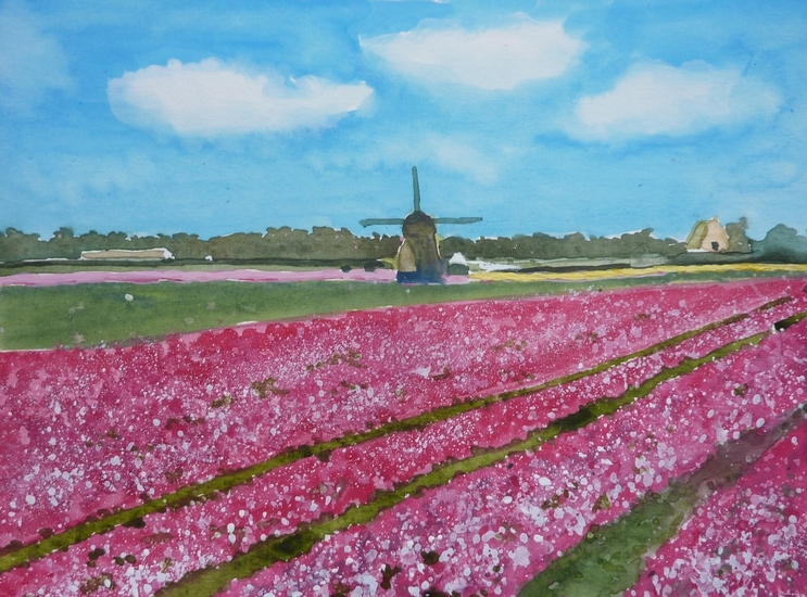 Noord Hollands Landschap