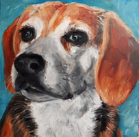 Queenyportret van een beagle