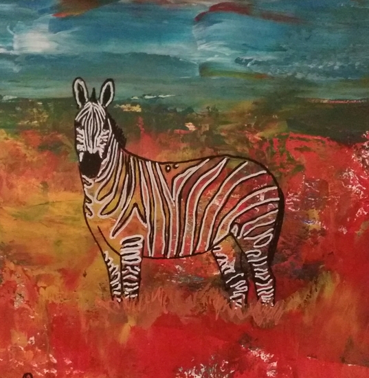 Zebra