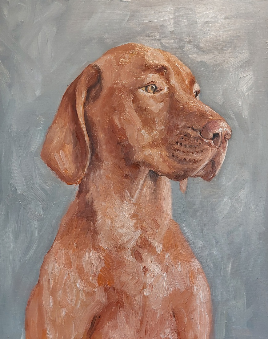 Vizsla