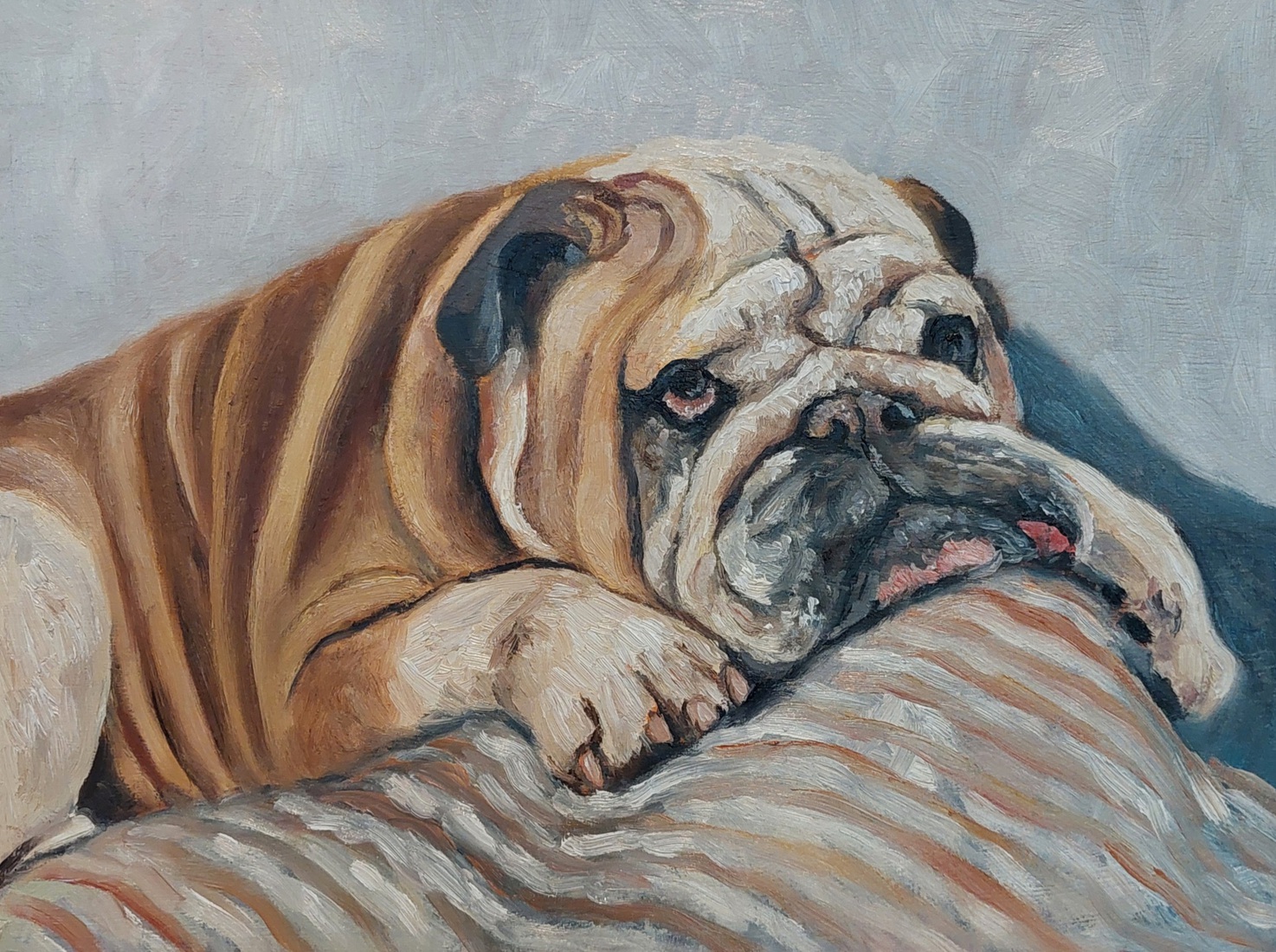 Engelse Bulldog 