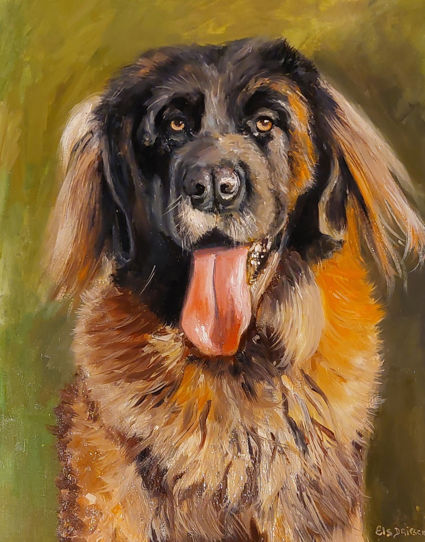 Leonberger
