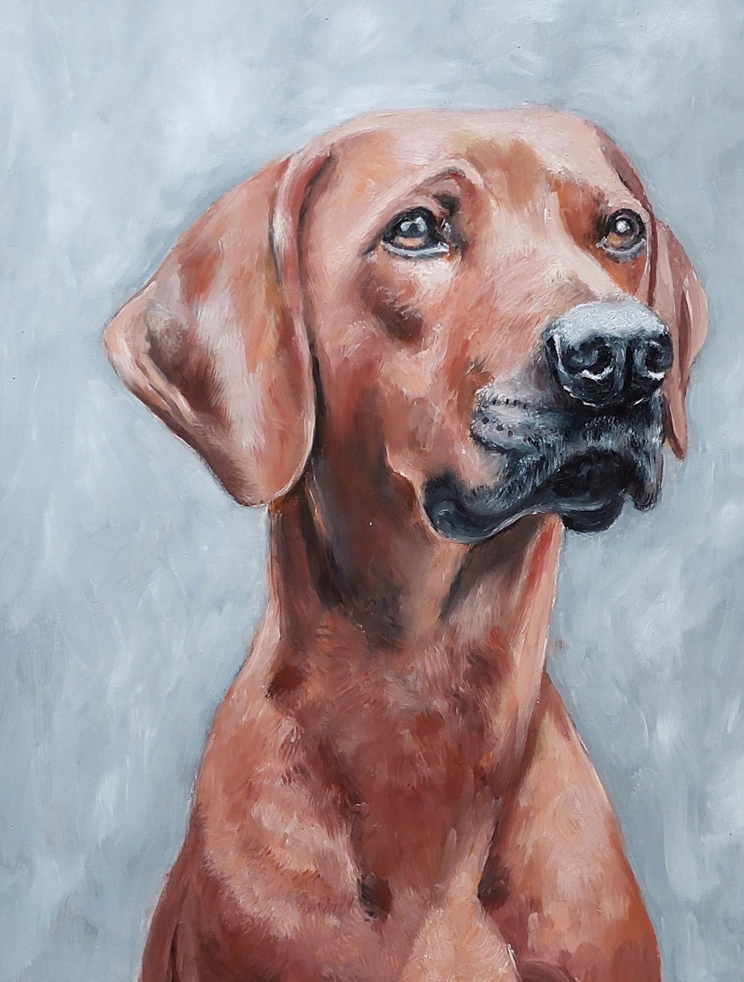 Ridgeback