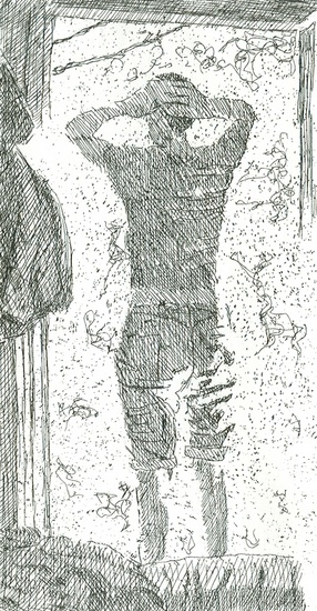 door, morning, cabin