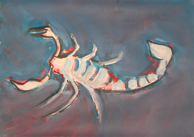 schorpioen 5