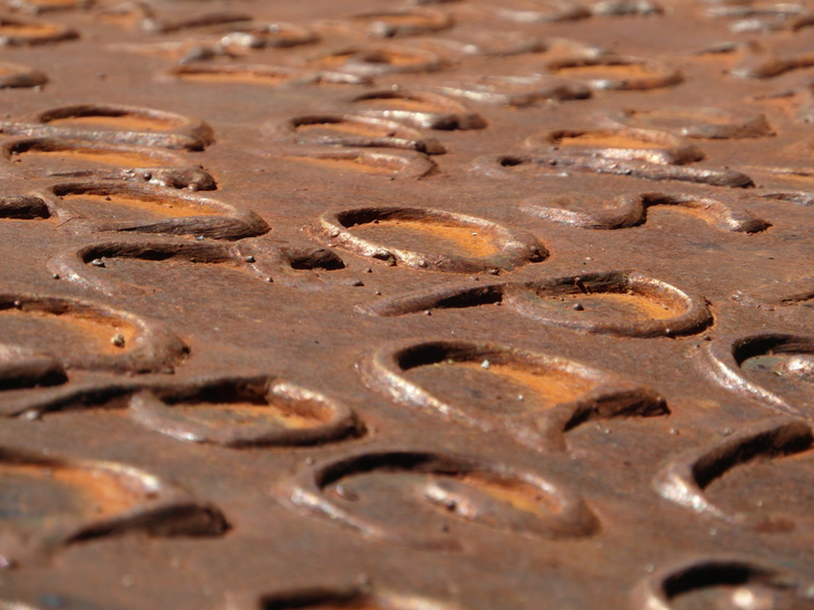 Schaal/wijsheid detail