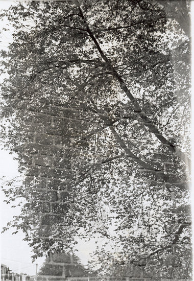 Stone tree