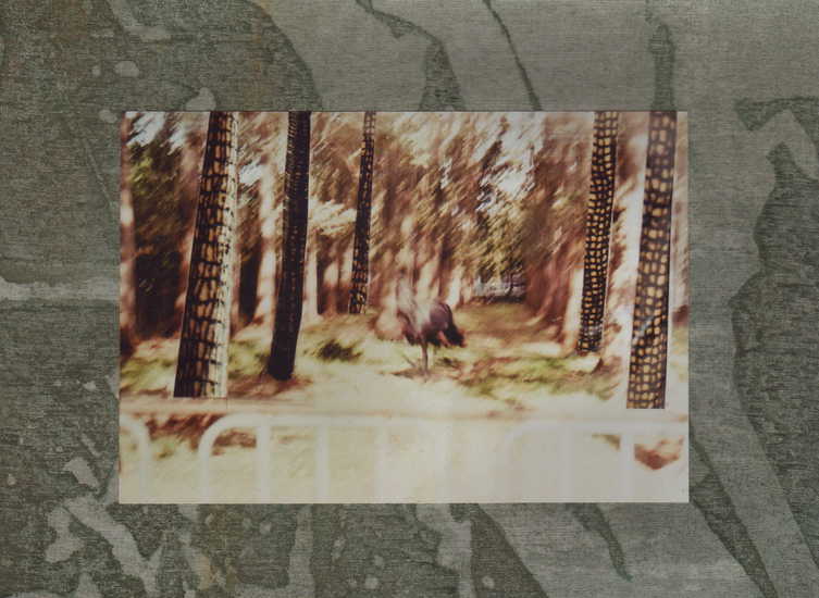 Dénouement 3 (the phantom horse)