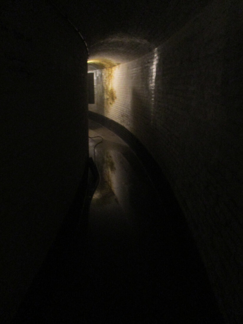 Hortus Conclusus, de Video