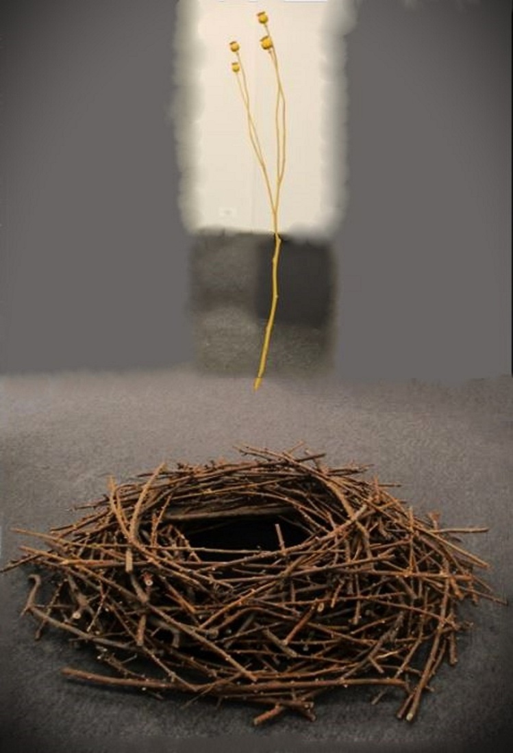 Hortus Conclusus, Diepe Gronden