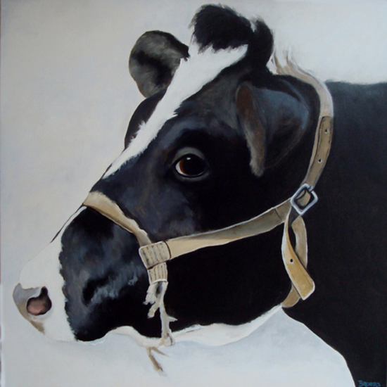 Zijaanzicht Zwartbont