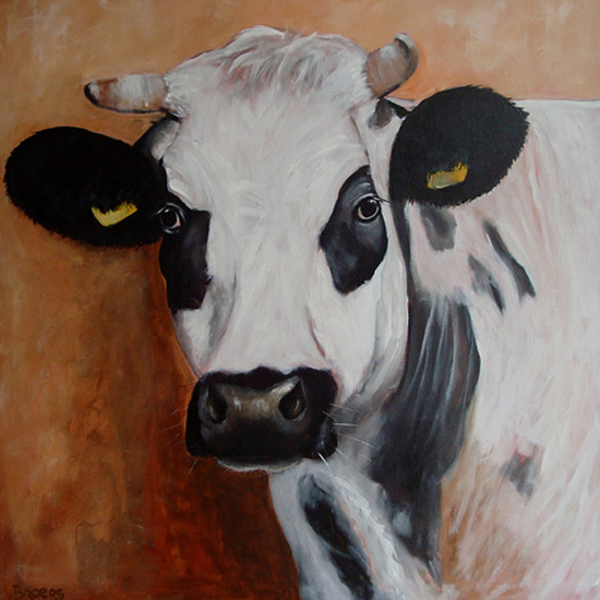 Zwartbont met horens