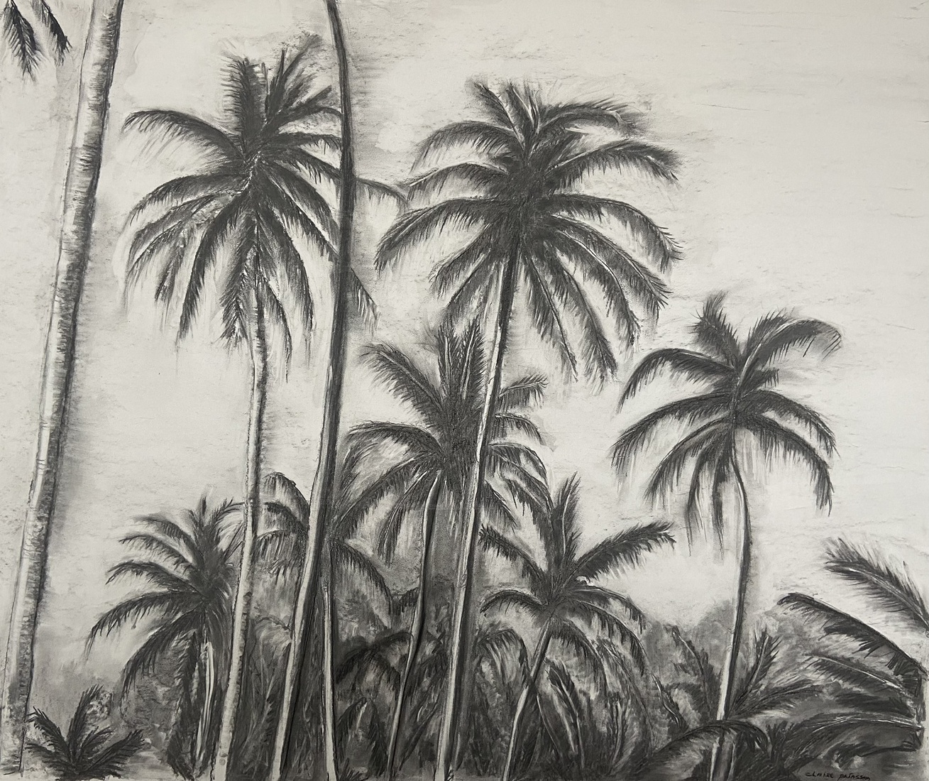 Palm trees