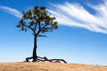 Natuurfotografie over de wereld