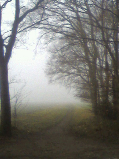 mist 3