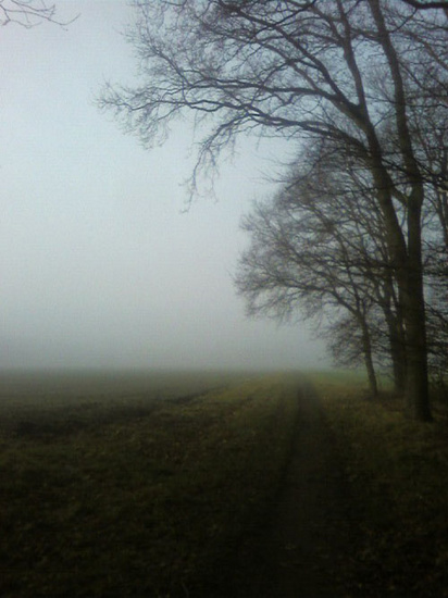 mist 4