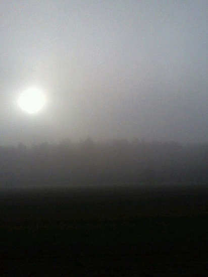 mist 7