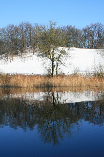 winter2013
