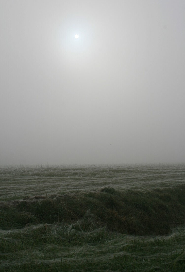 mist   / mist boven de akkers op 8 novemder 2025 rond 14.00 uur/