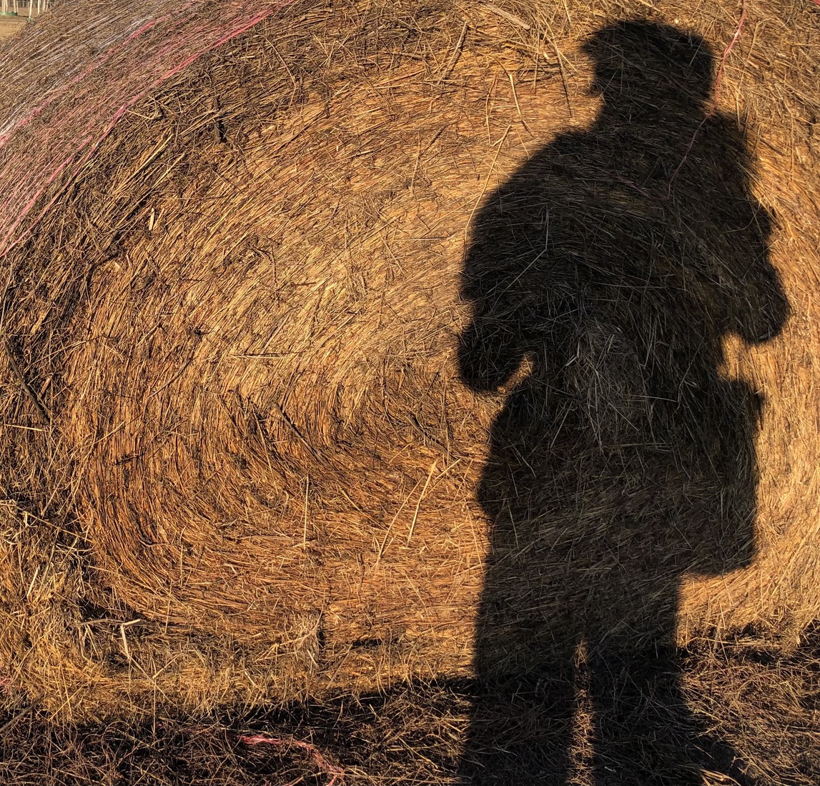 Zelfportret in Teltow naast een manege 12345a