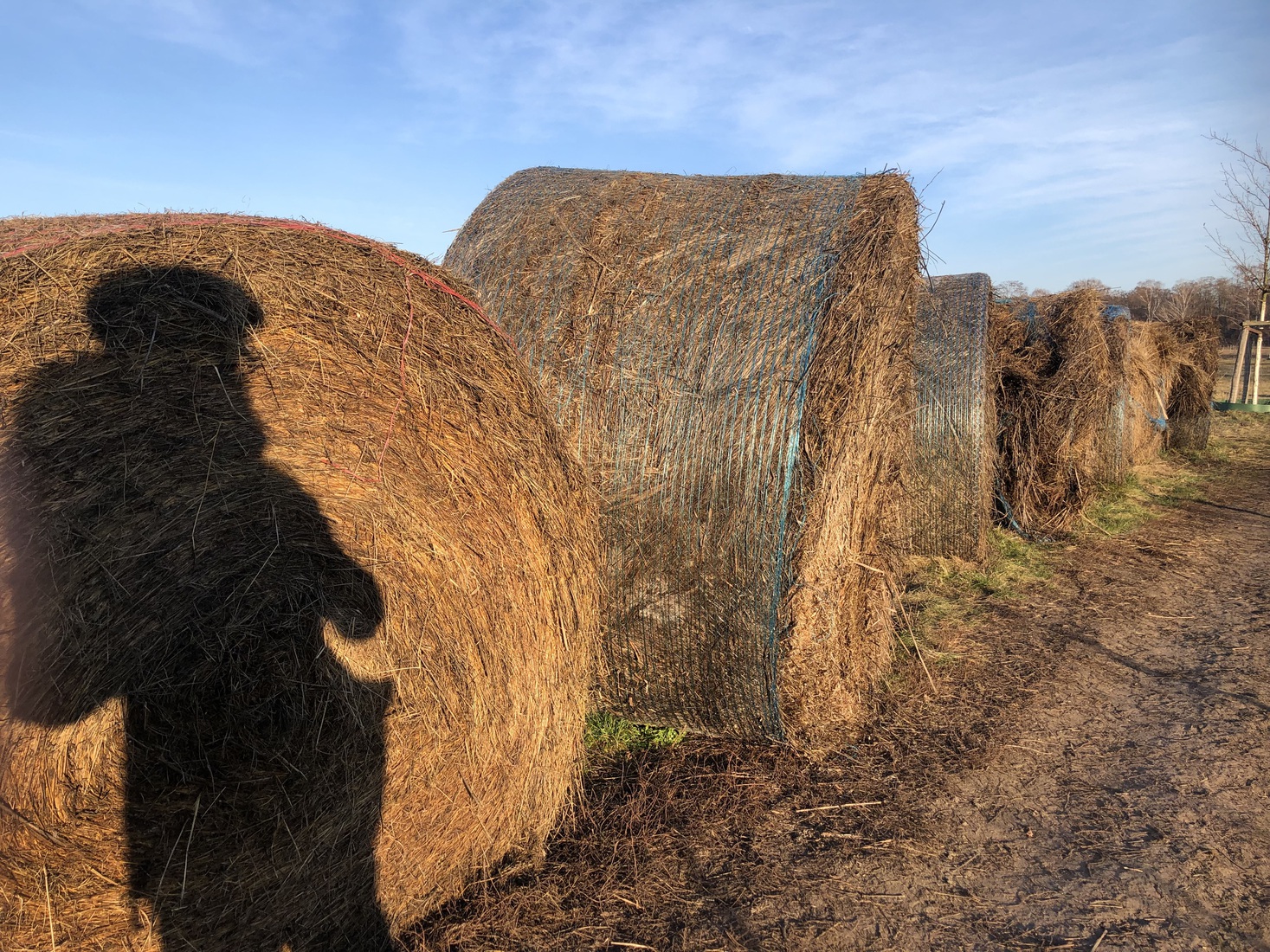 Zelfportret in Teltow naast een manege12345