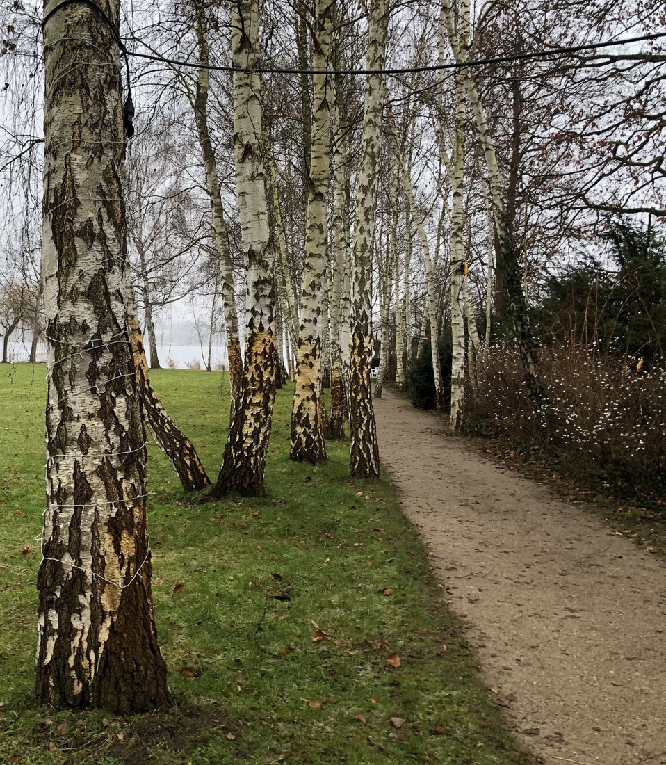 In de tuin van Max Liebermann12345