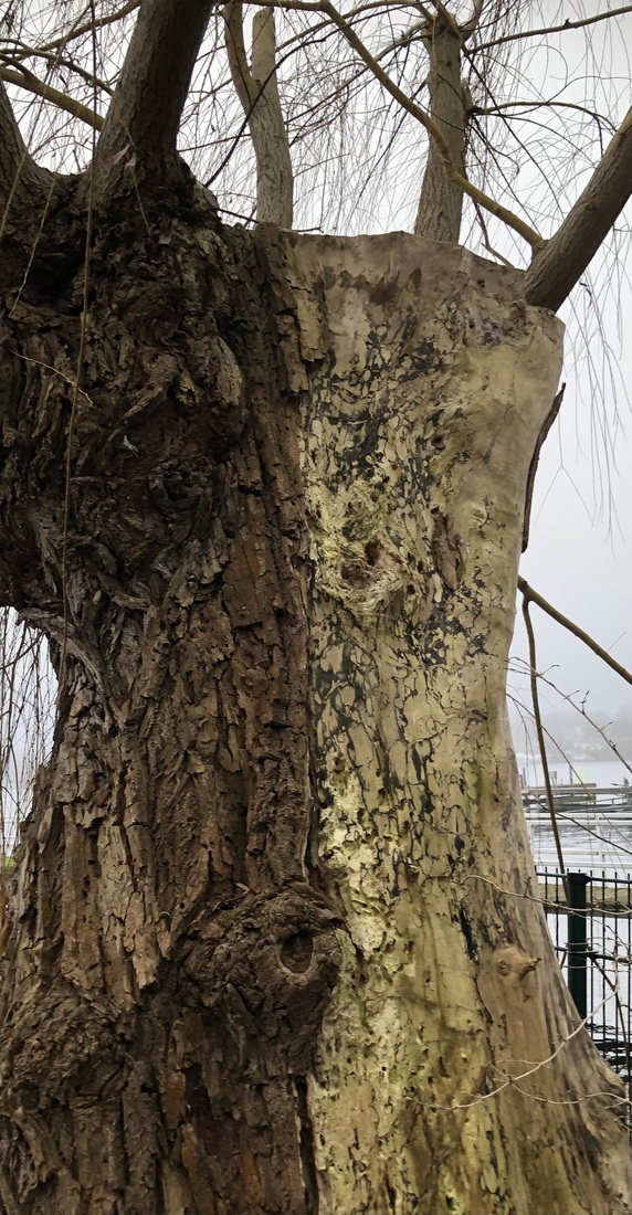 In de tuin van Max Liebermann 1234567