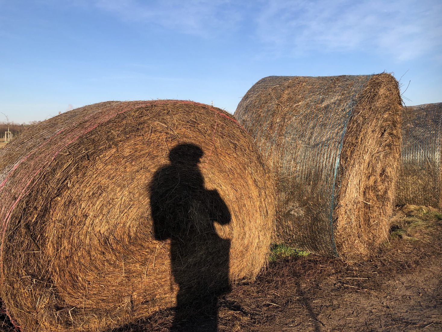 Hooibalen in Teltow ( met zelfportret) 27-12-2025