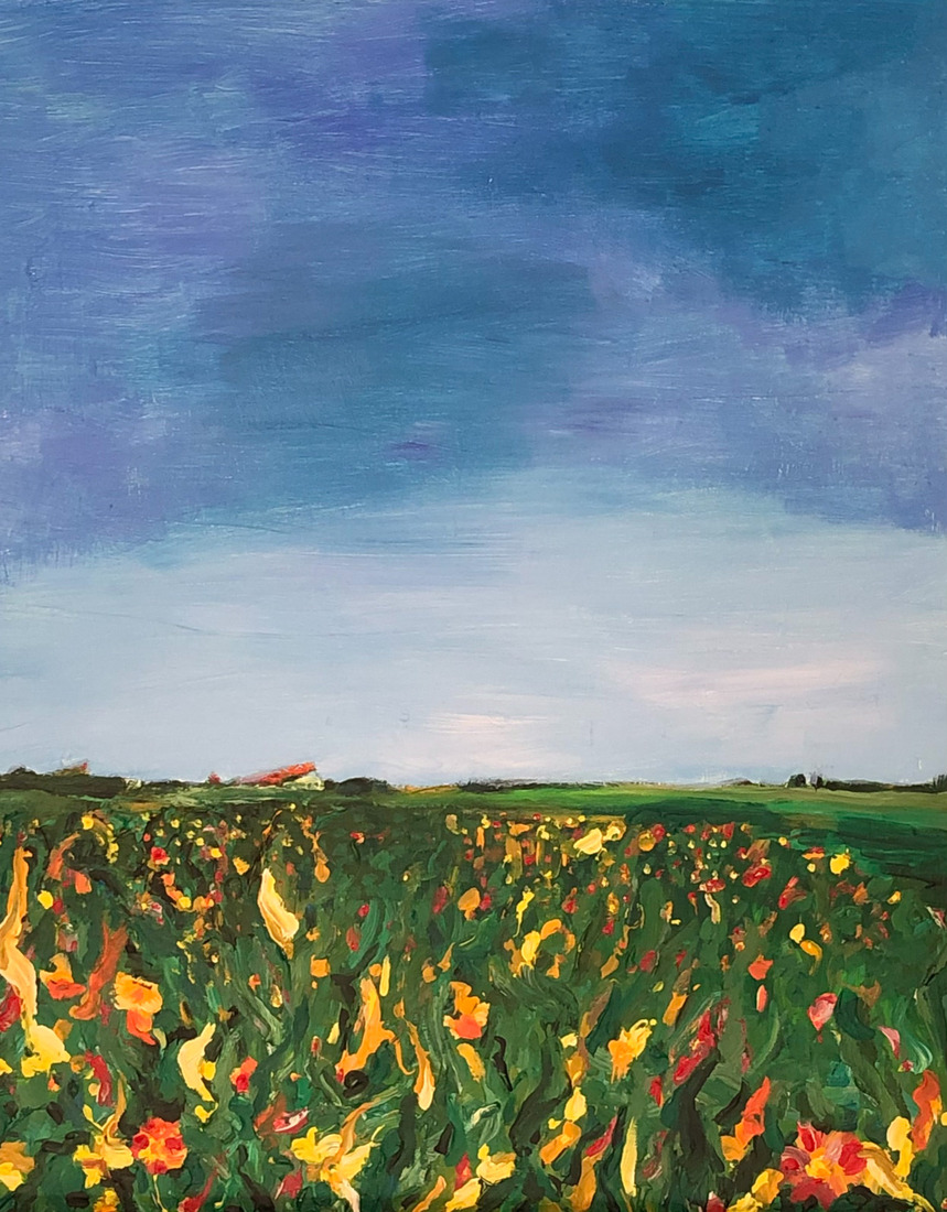 DE WERELD IS MOOI; landschap FRL