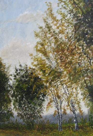 19. Langs de Zandweg - Haren