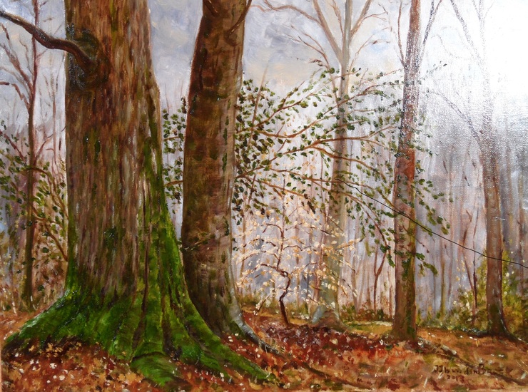 208. Dans la Forêt de St. Agnant