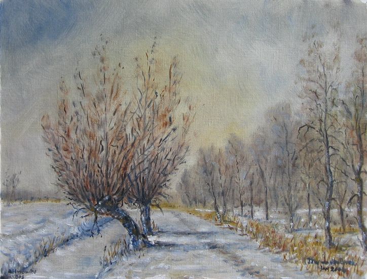 Winter in het Abtwoudsebos Delft