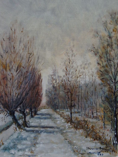 Winter in 't Abtwoudse Bos