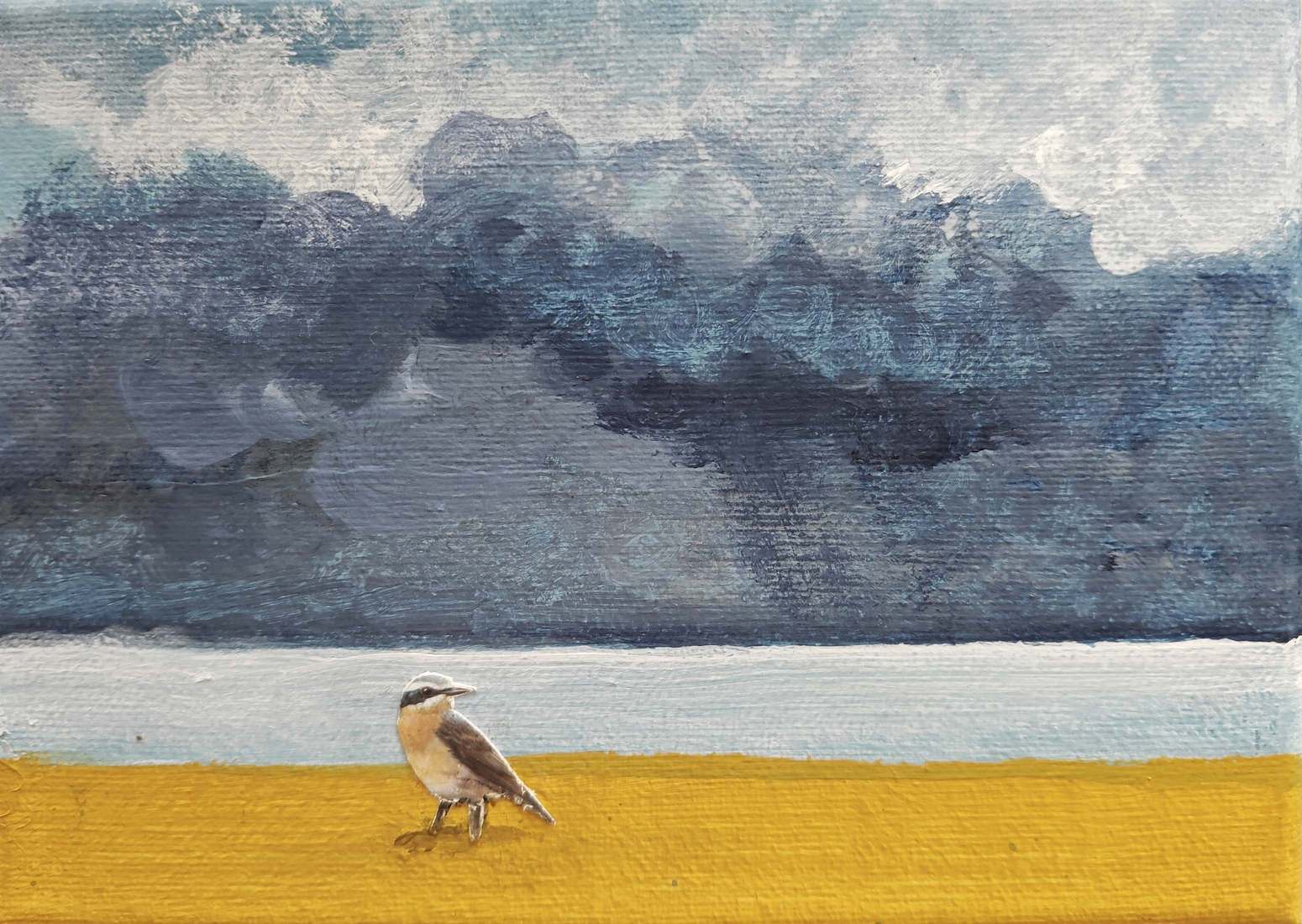 Bird in paradise 02.