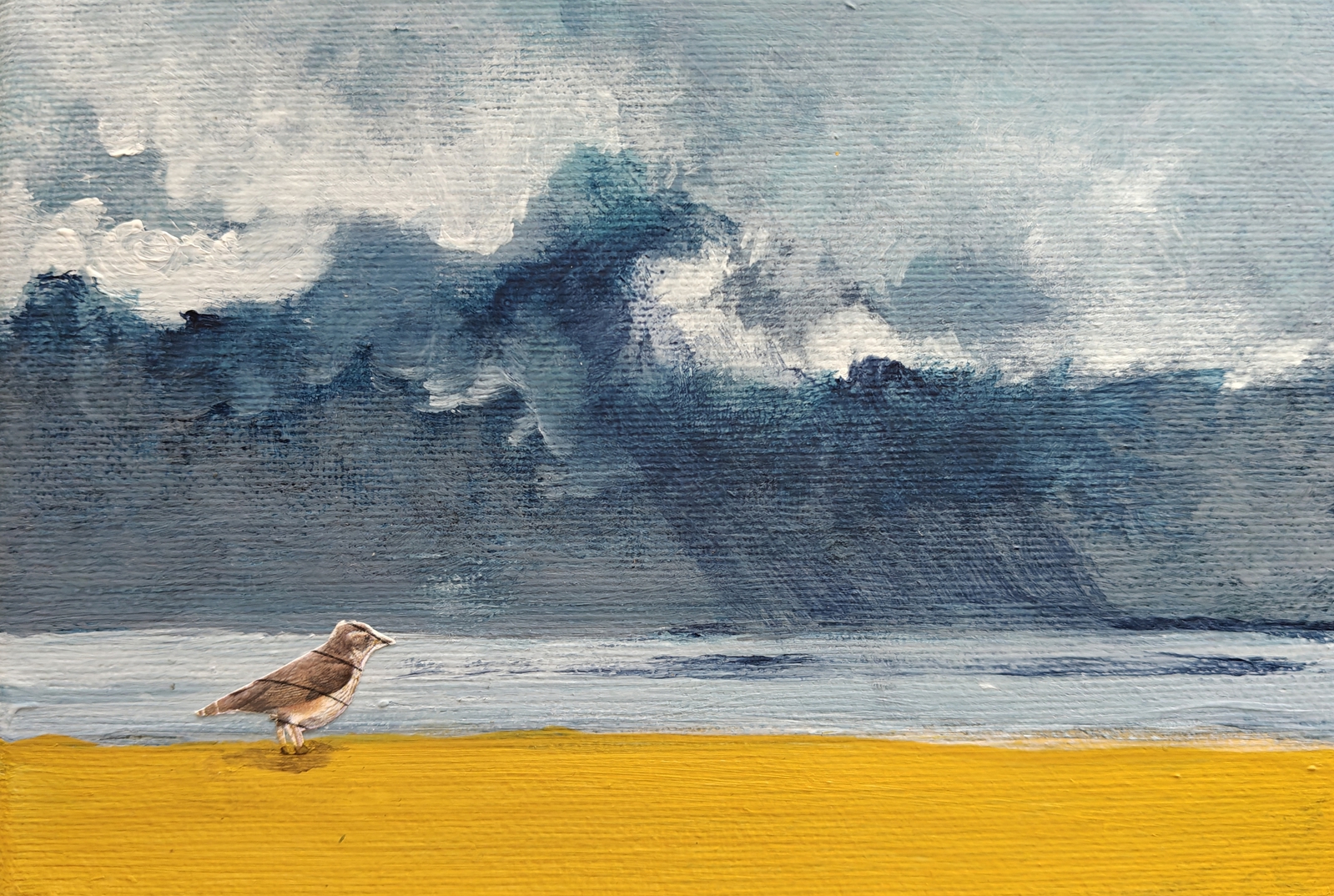Bird in paradise 03.