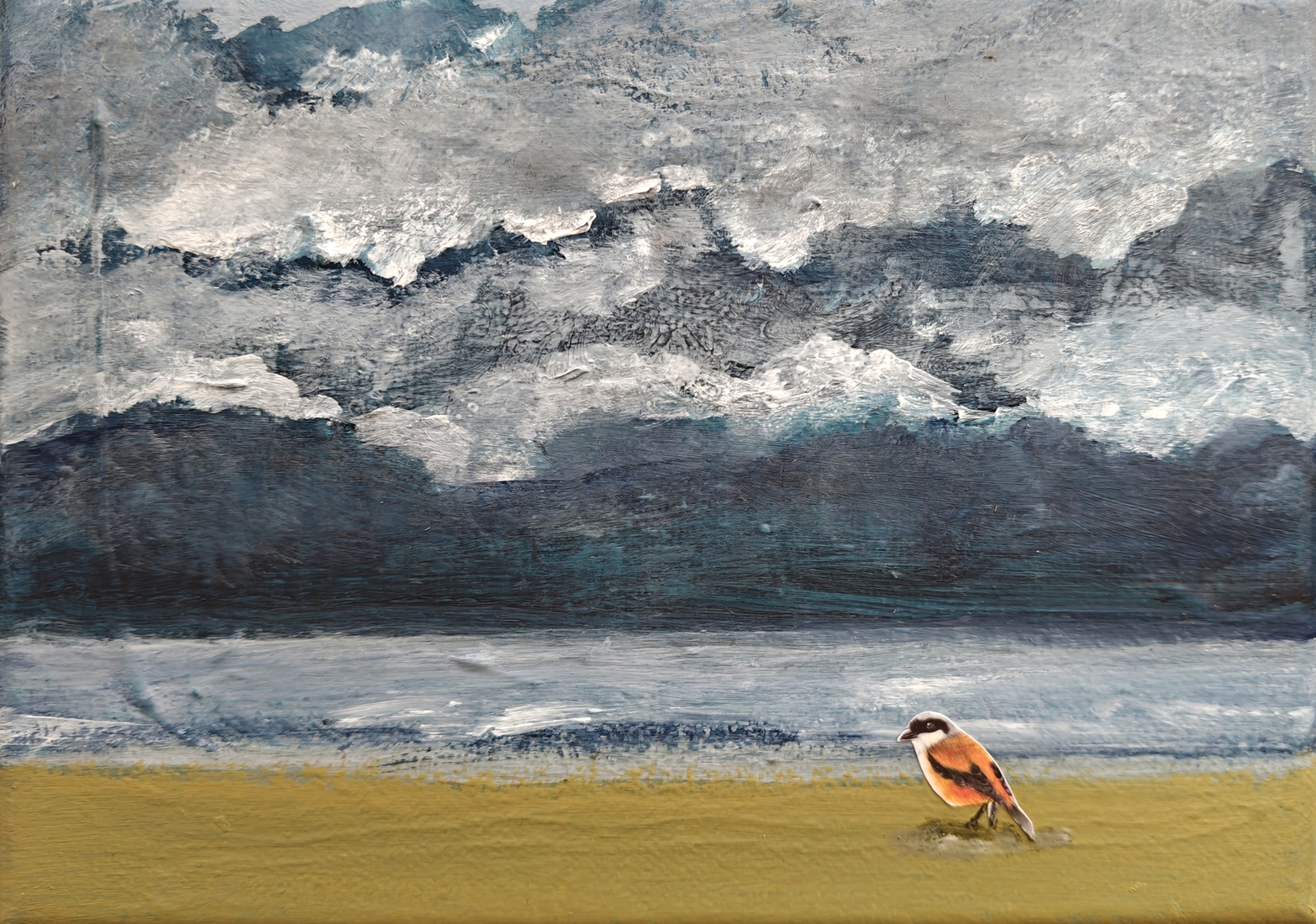Bird in paradise 06.