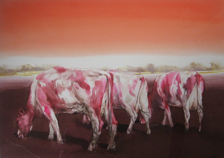 Roze Koeien
