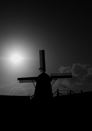 Texel 5