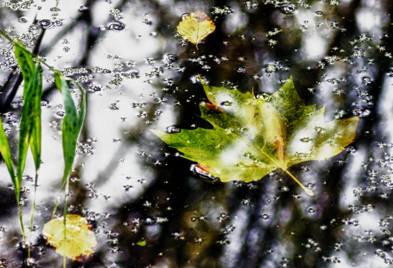 Verdronken Herfst