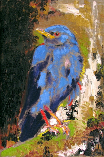 Blauwe Vogel