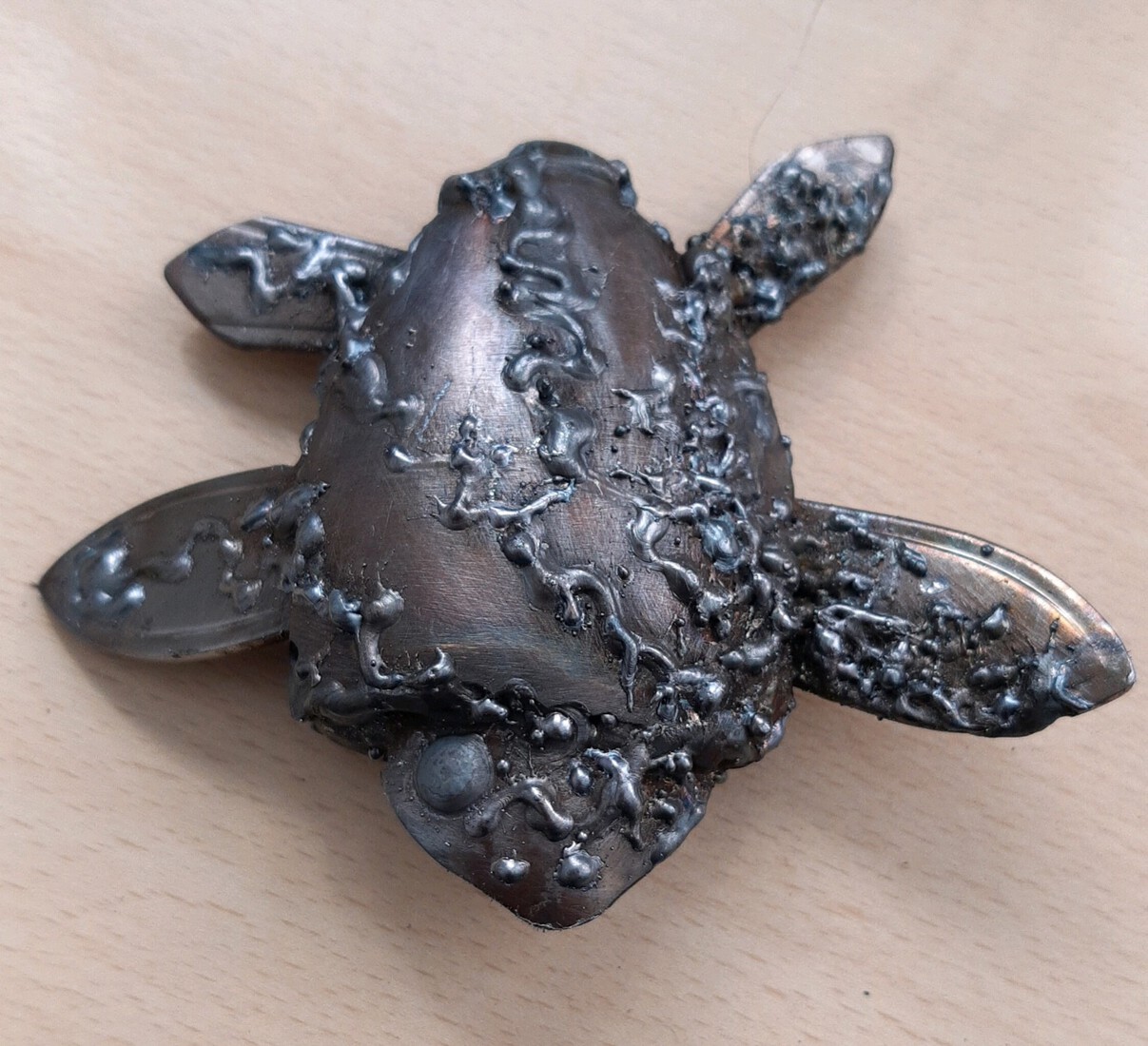 Eenogige schildpad