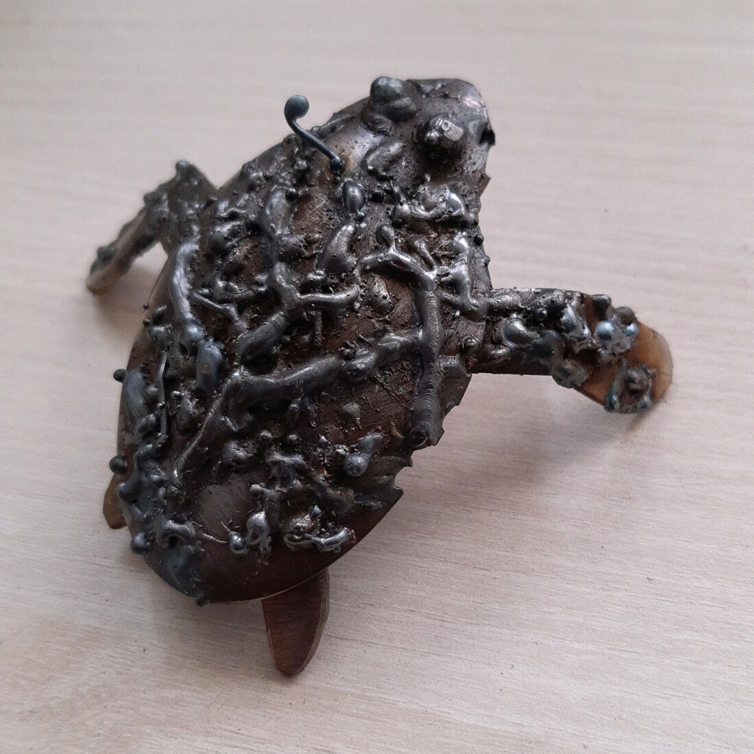 Schildpadje3