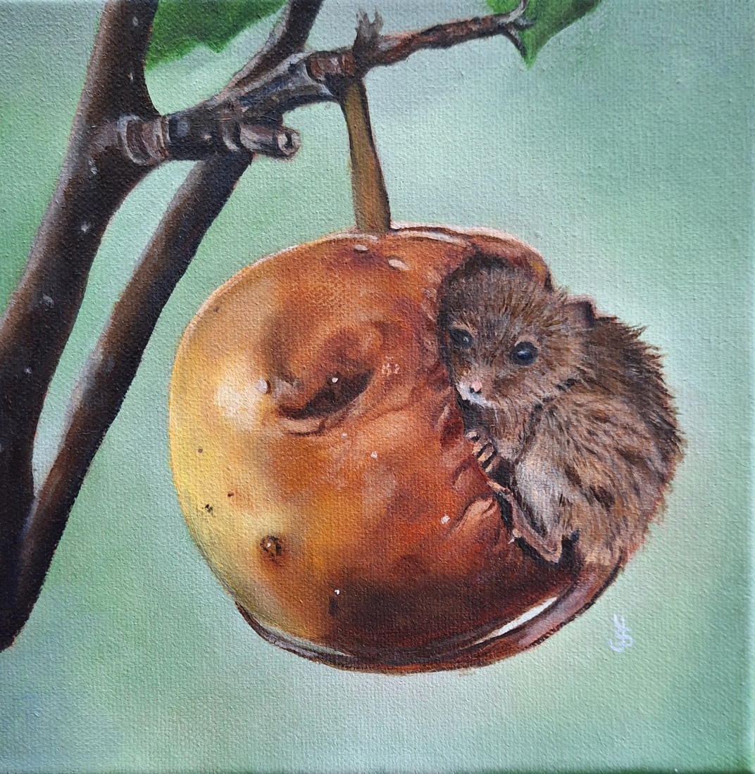Muis in appel