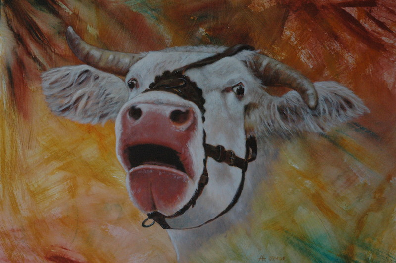 Boe, ik wil terug naar mijn moeder