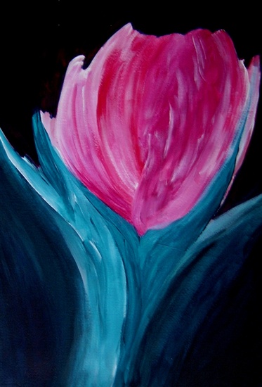 Magenta tulp