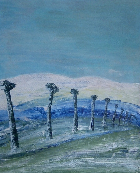 Knotwilgen in de winter