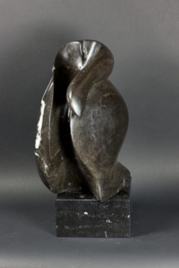 Looks like a penguin