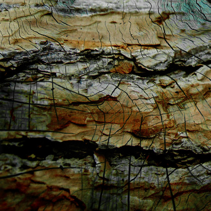 Compositie 7