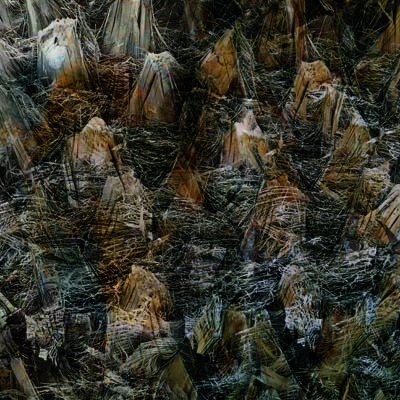 Compositie 5